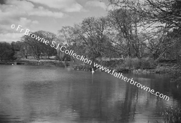 LAKE IN WINTER & SWAN